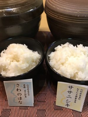 さわのはなとササニシキ、並べると違いがわかるかな?
